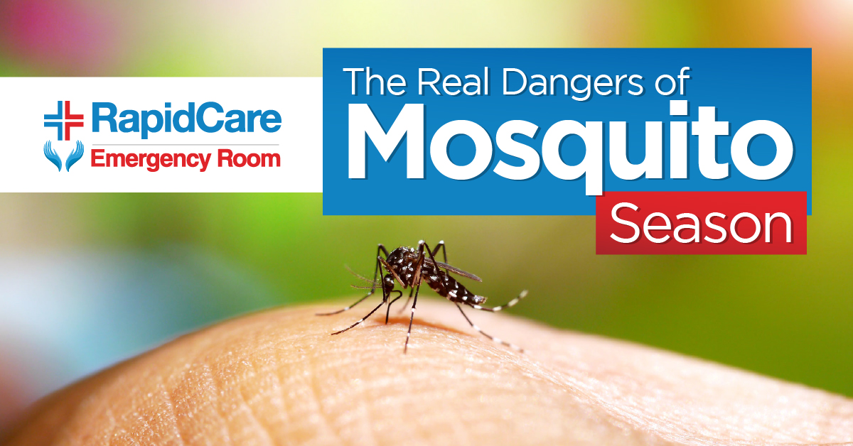 The Real Dangers of Mosquito Season RapidCare ER