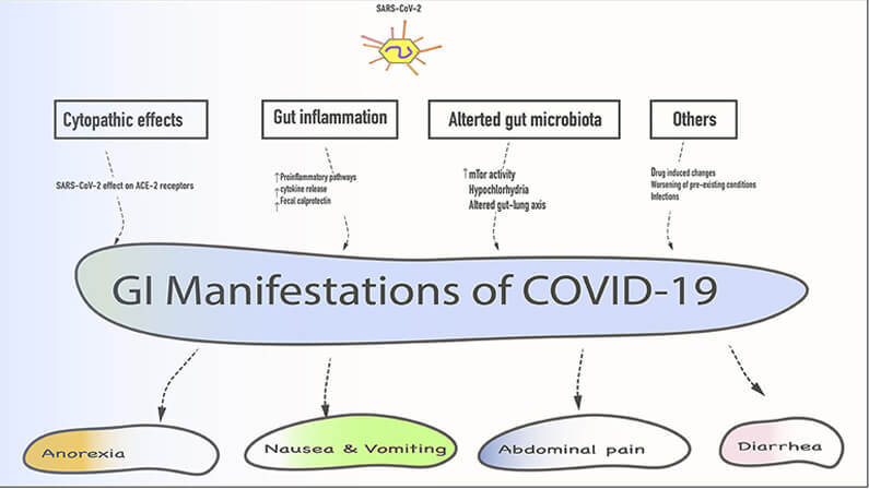 COVID and Gastrointestinal Symptoms: Are They Related?