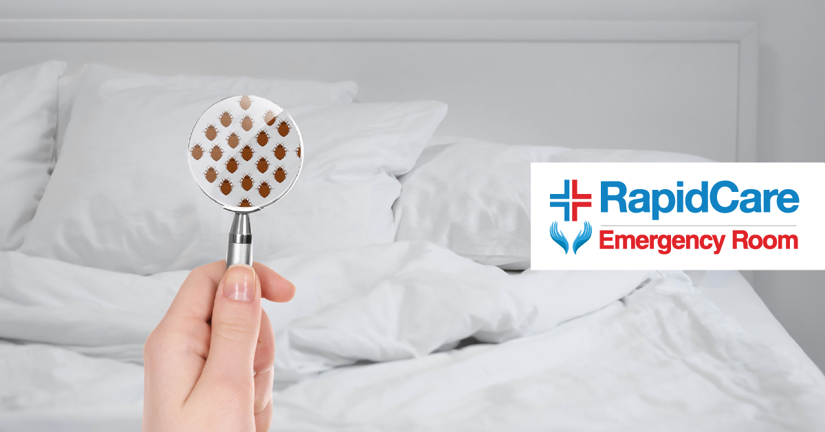 Bed Bug Bite Dangers: Understanding the Risks and When to Seek Emergency Care