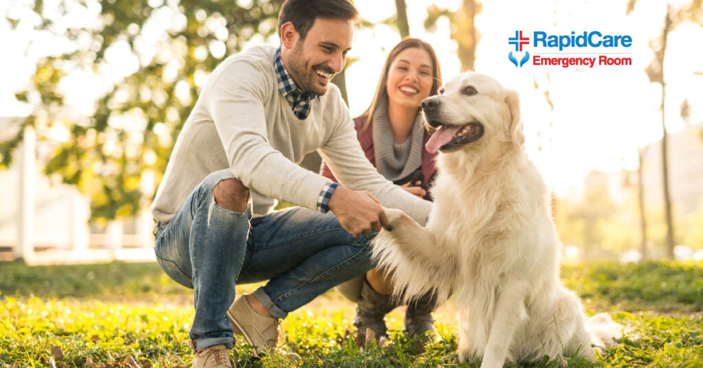 Dog Bite Prevention Tips